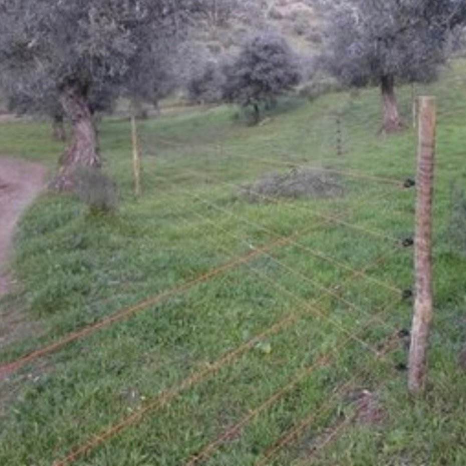Fixed electric fence